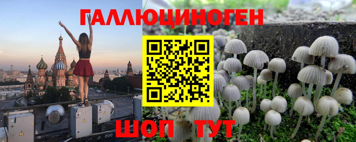 Галлюциногенные грибы мухоморы Йошкар-Ола