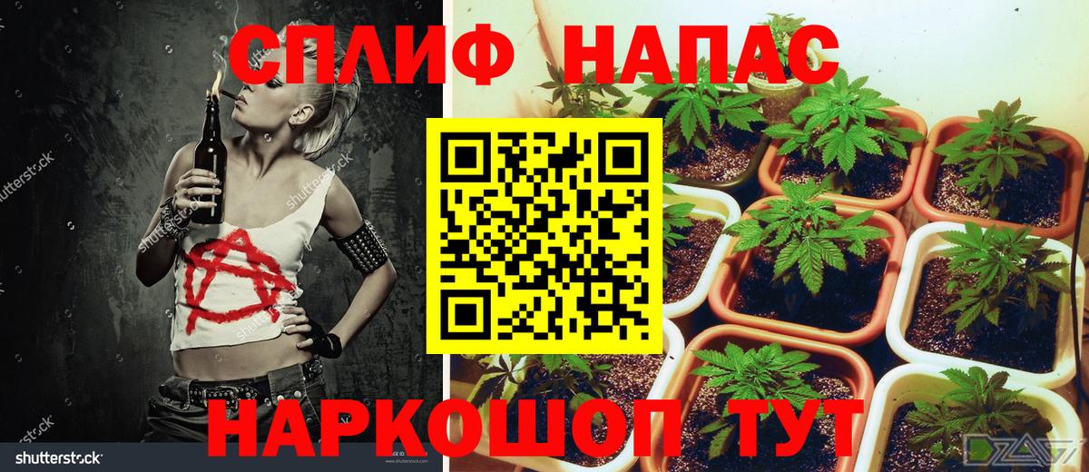 Бошки Шишки сатива  Бошки Шишки сатива  Йошкар-Ола  Канабис VHQ 